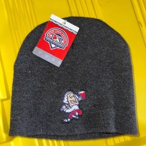 NWT FredNats Grey Beanie Hat Embroidered Team Logo MiLB